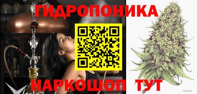 a pvp Рузаевка