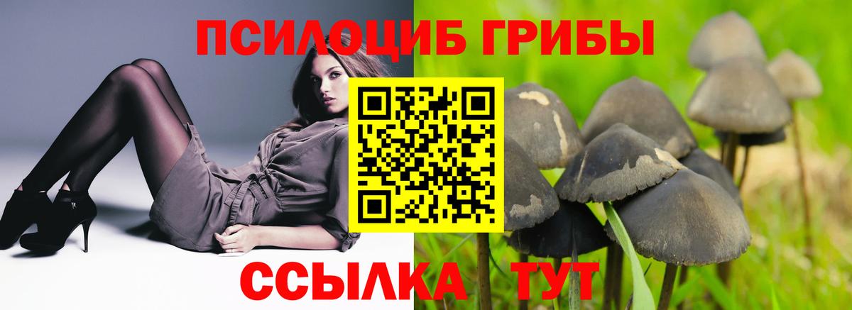 Псилоцибиновые грибы мухоморы  Галлюциногенные грибы мухоморы  купить  сайты  Вход с VPN  Саяногорск 